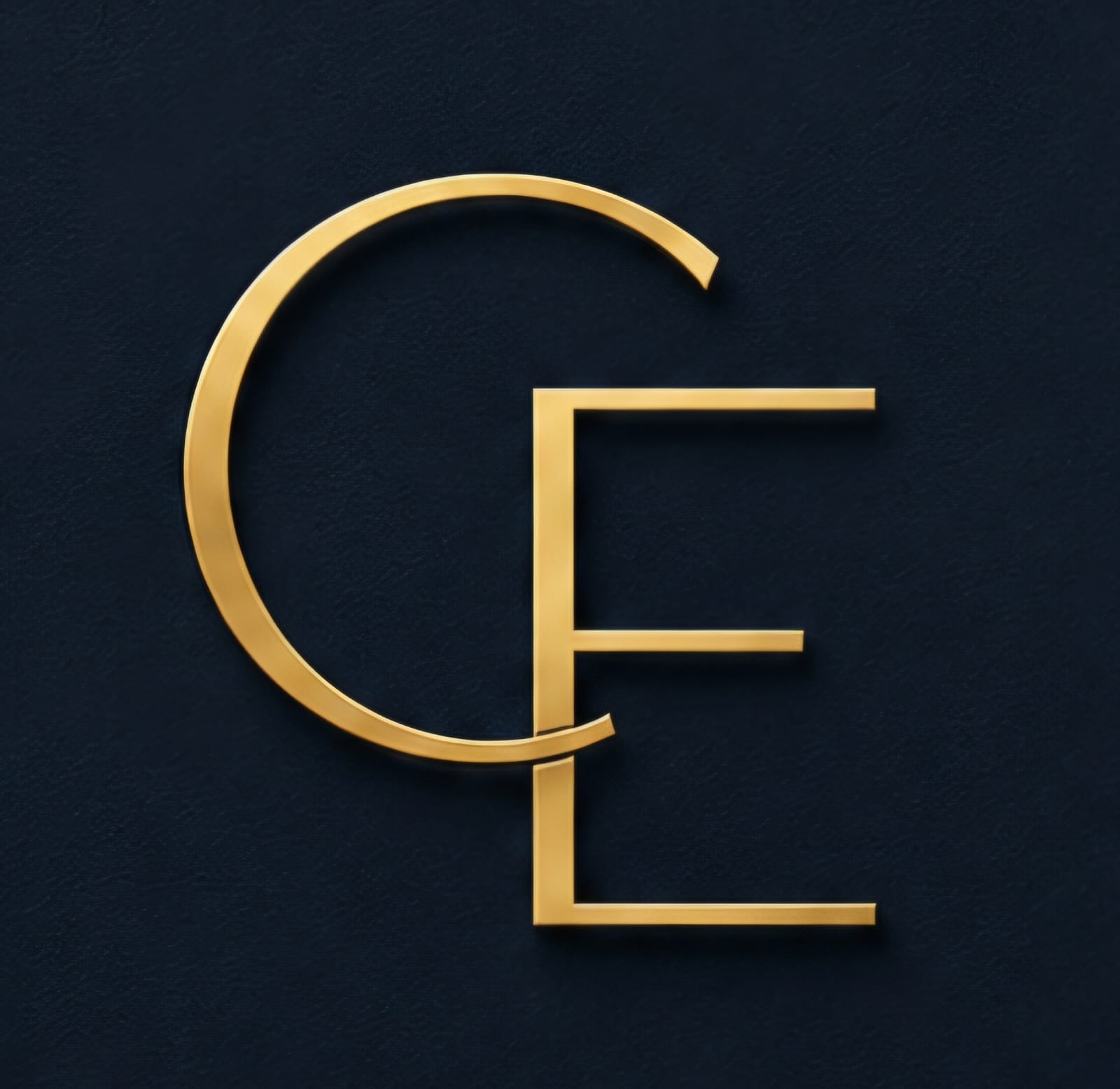 Creative effect logo